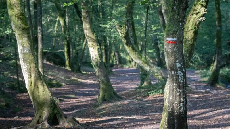 Val-sans-retour_Tréhorenteuc_Paimpont_DestinationBrocéliande