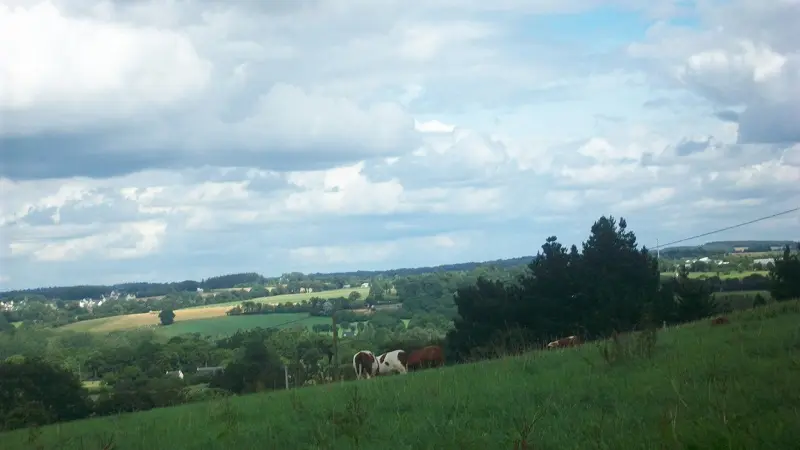 Roulotte-la-Houssaie - Sérent - Brocéliande