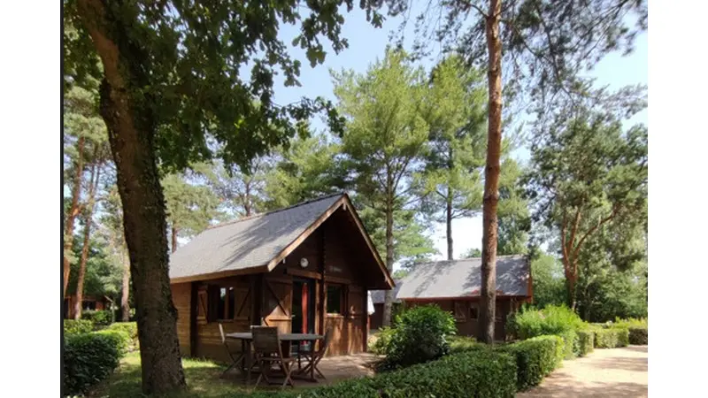 Capture d'écran 2024-11-21 160805