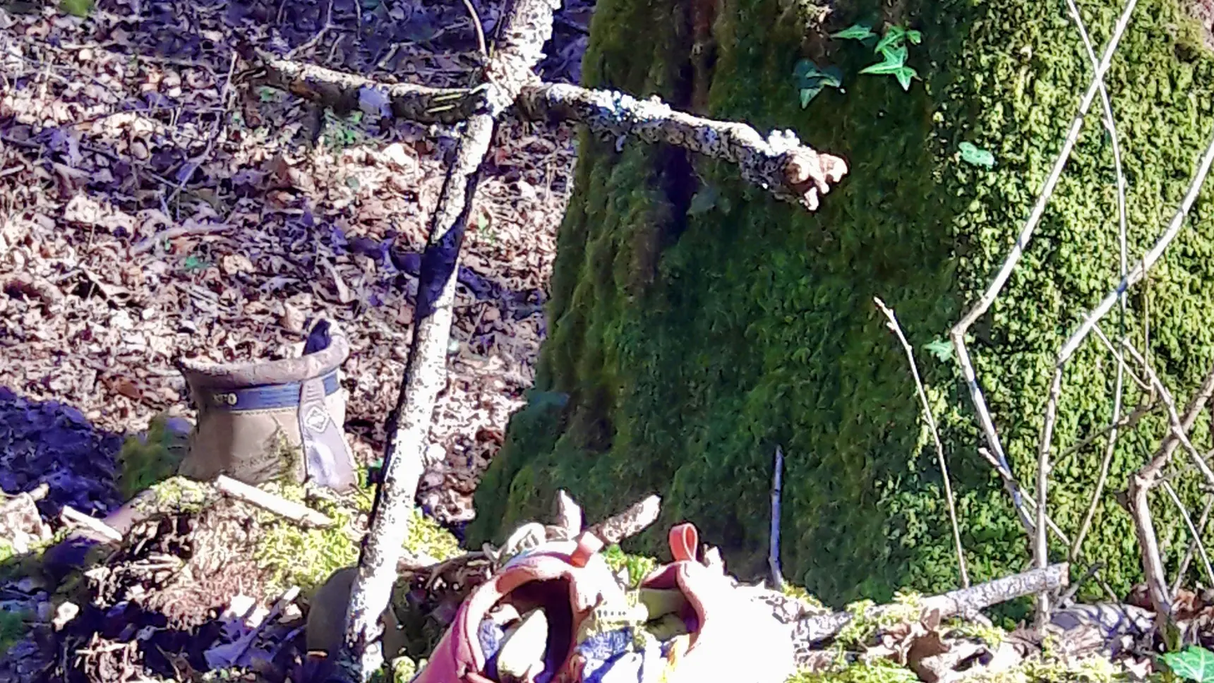 Chêne Bé-Er-Sant (Tombe du Saint)