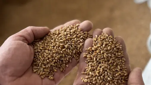 Ferme de la Cavalerie