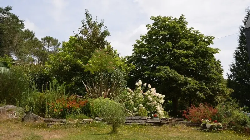 Chambres d’hôtes l’Hippocampe - Sérent - Morbihan - Bretagne