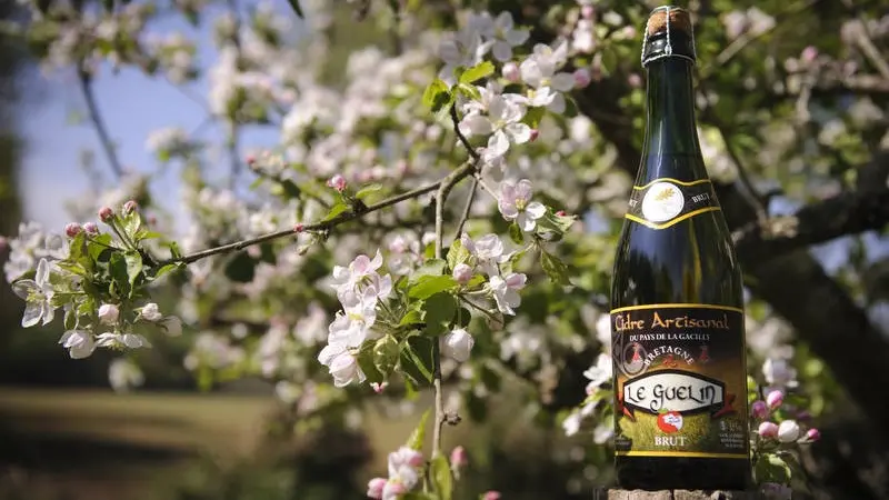 Cidre-Ruaudaie-Martin-Oust-Brocéliande