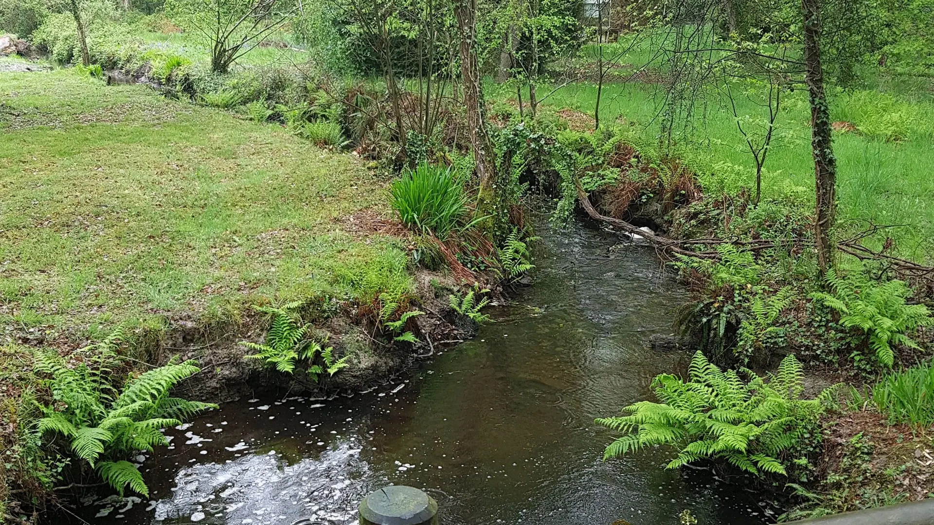 Circuit En Pays Mittau - mai 2021 (1)