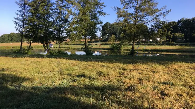 Etang communal de Concoret