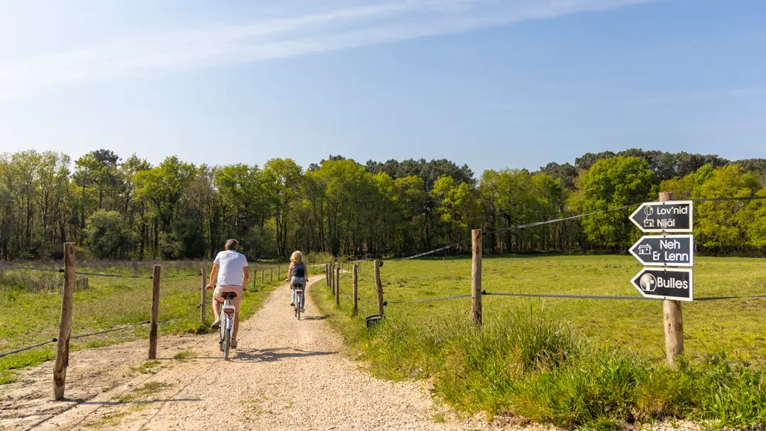 Copie de balade à vélos Dihan