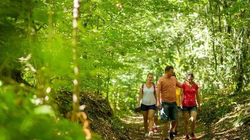 Circuit des Picouras