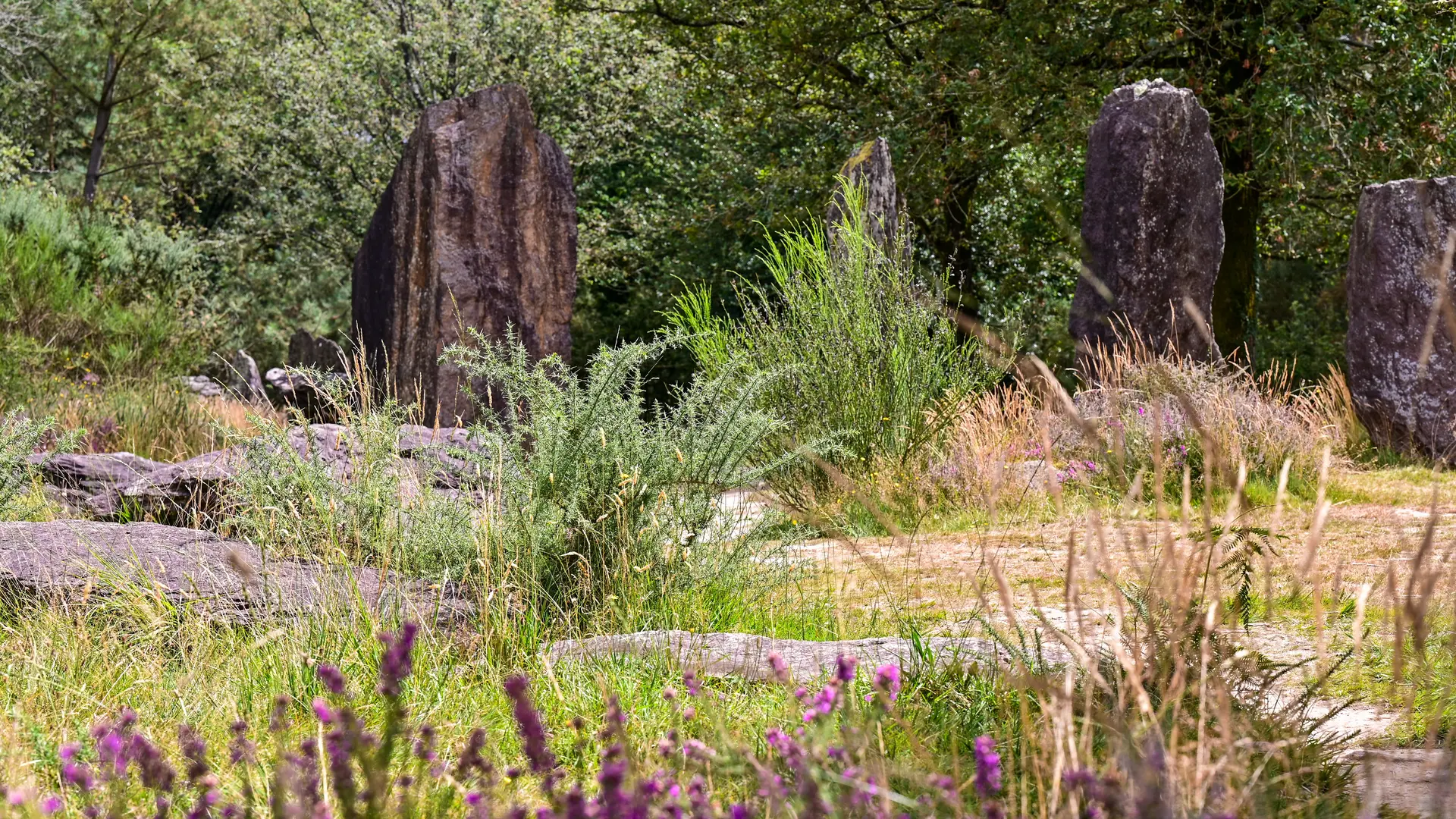 Les Landes de Monteneuf
