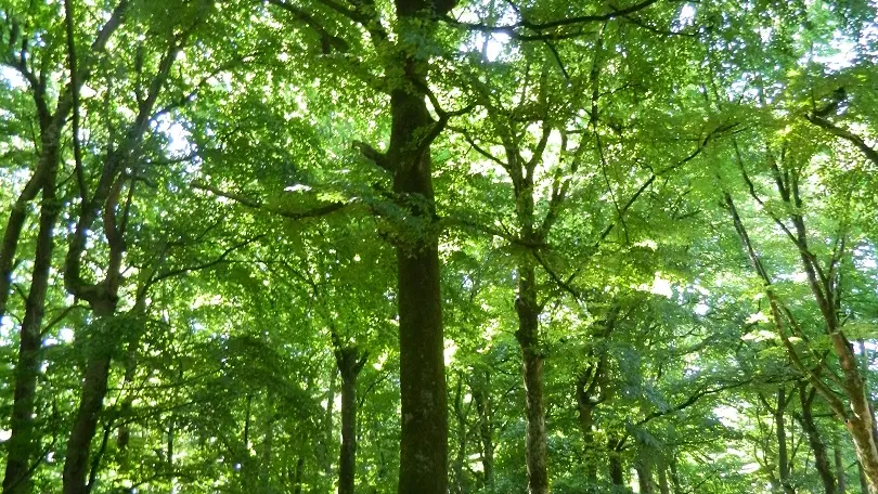 Circuit des 9 écluses