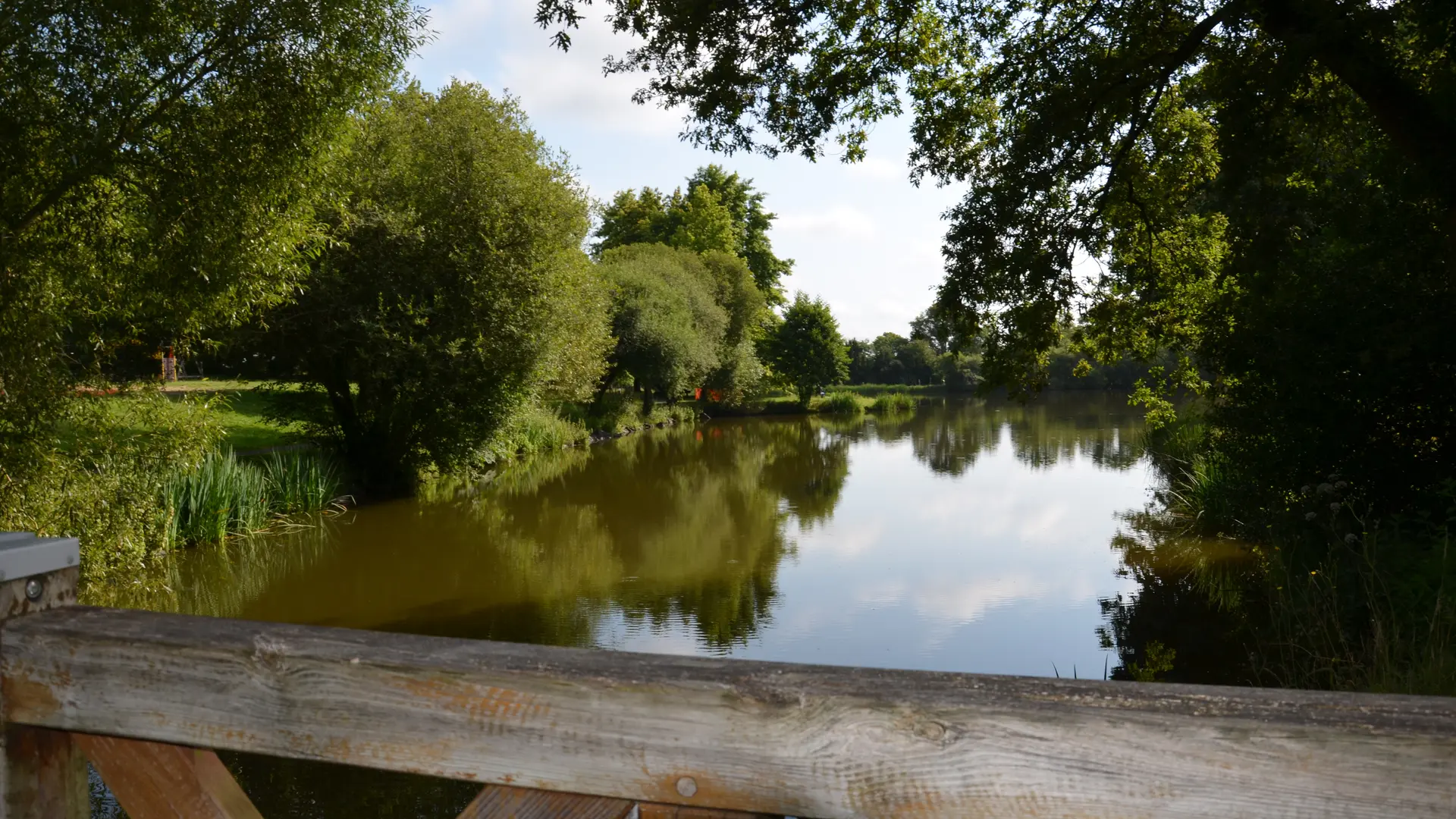 Étangs_de_Coueslé_Allaire_OTPR_2024 (6)