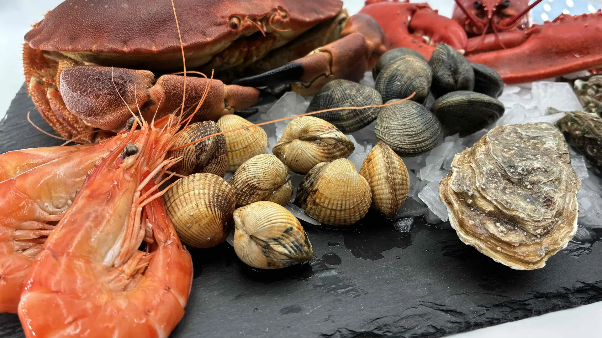 Eventail-produits-ardoise-glace