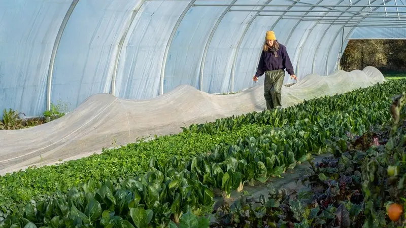 Ferme de la Rougeraie - Porducteurs locaux - Lanouée - Forges de Lanouée