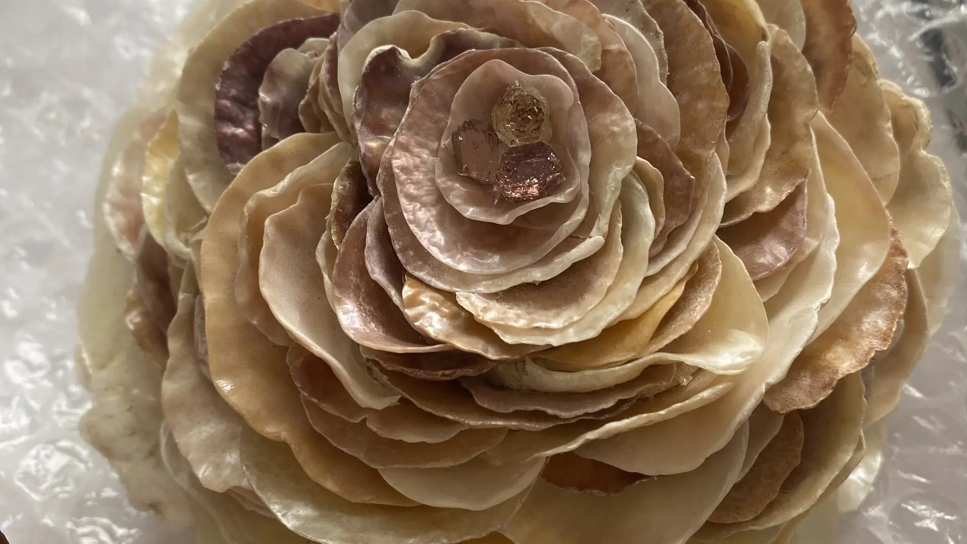 Fleurs de nacres