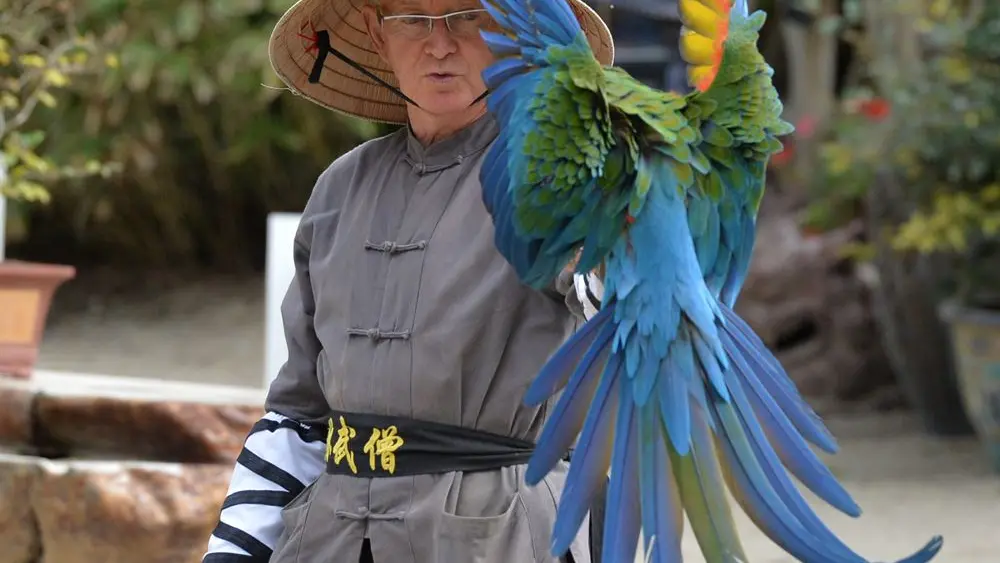 Tropical Parc - Saint-Jacut Les Pins