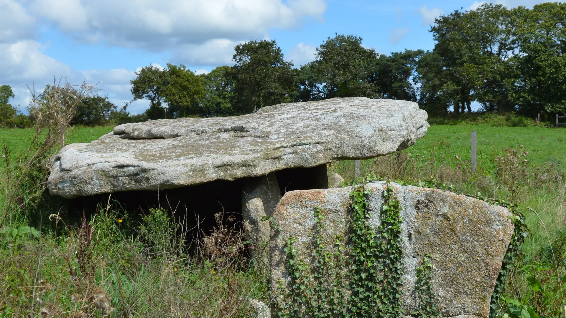 HLO_2024_Gite_Dolmen_Guiscriff (3)