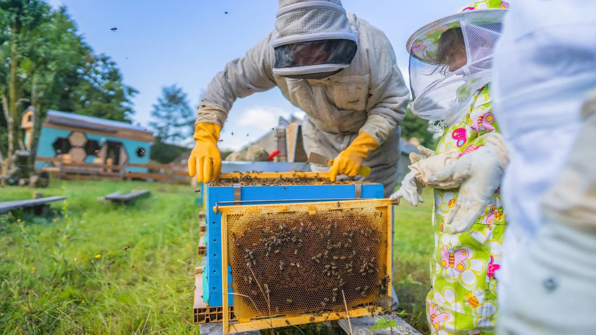 HLO_Fontaine_Airmeth_Option_Bapteme_Apiculture (10)