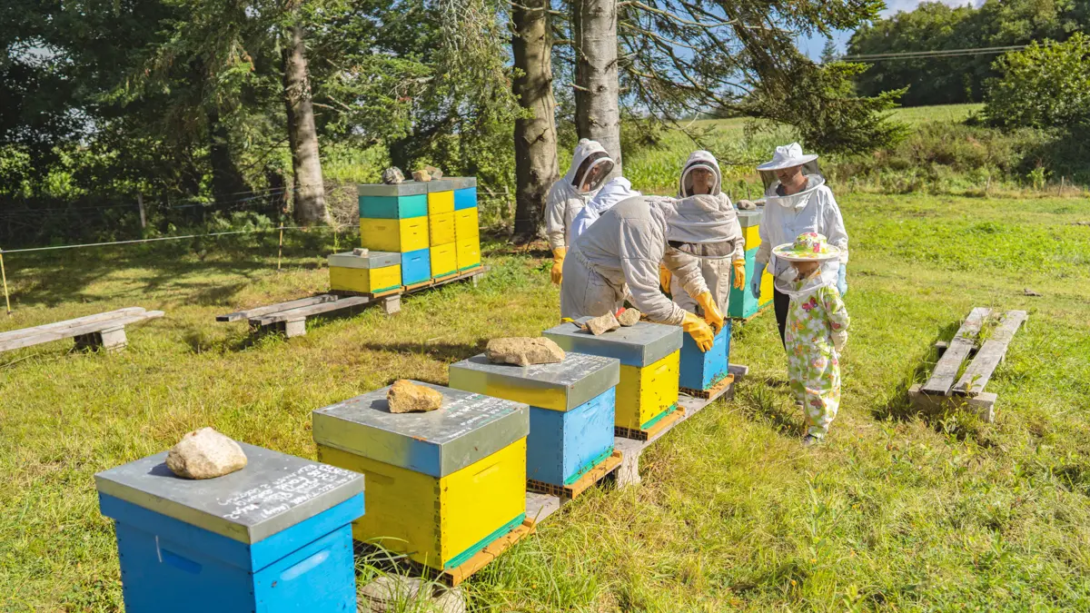 HLO_Fontaine_Airmeth_Option_Bapteme_Apiculture (2)