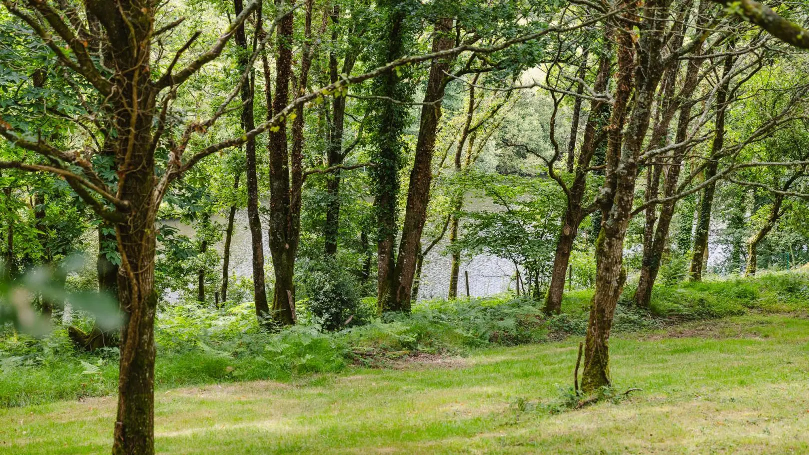 Hébergement insolite Koadou_Cabane Elouan_vue Blavet_Pluméliau-Bieuzy