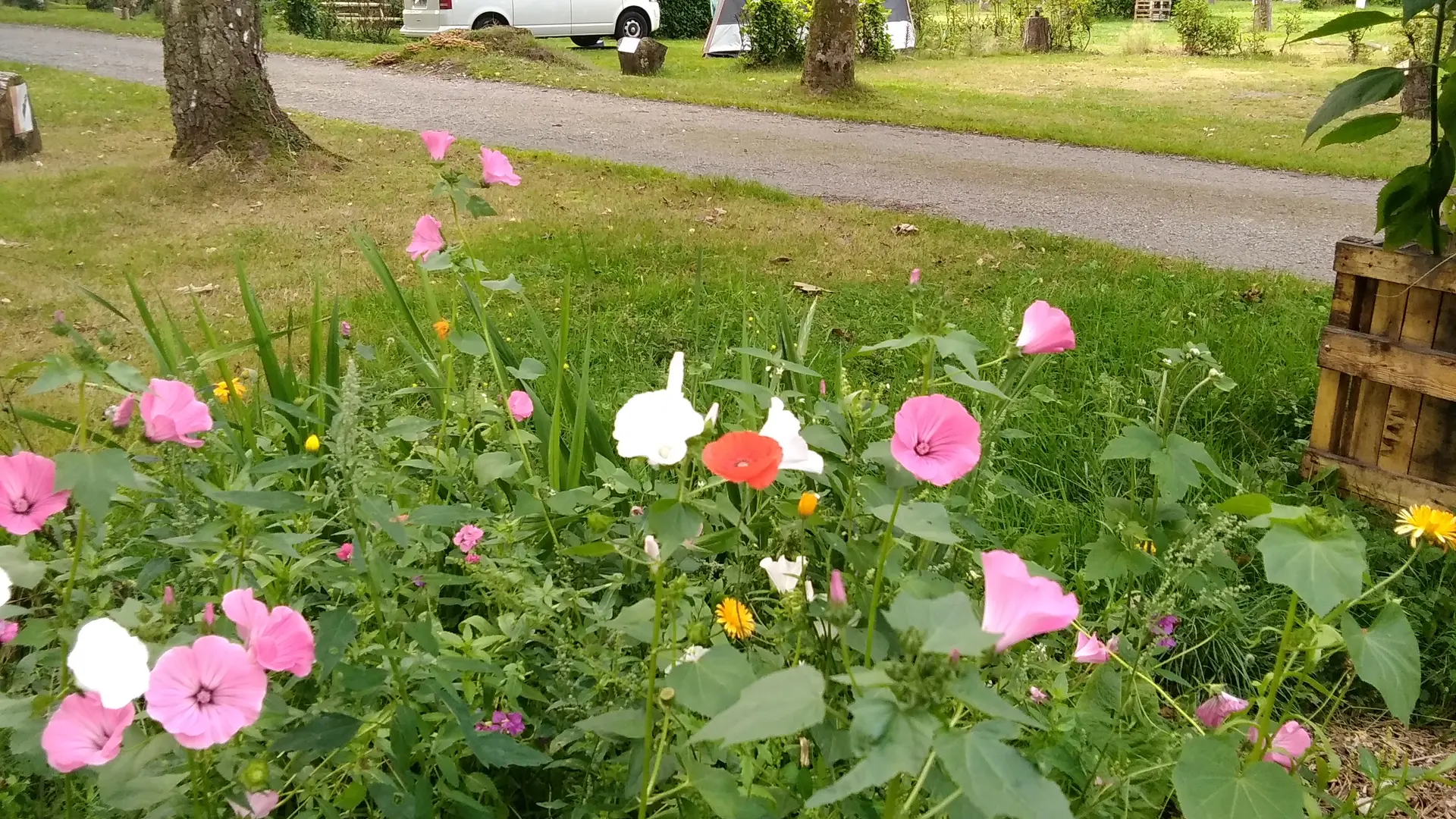EMPLACEMENT CAMPING LE LAC O FEES