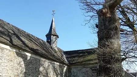 Chênes creux de la Chapelle de Kerméant - Néant sur Yvel