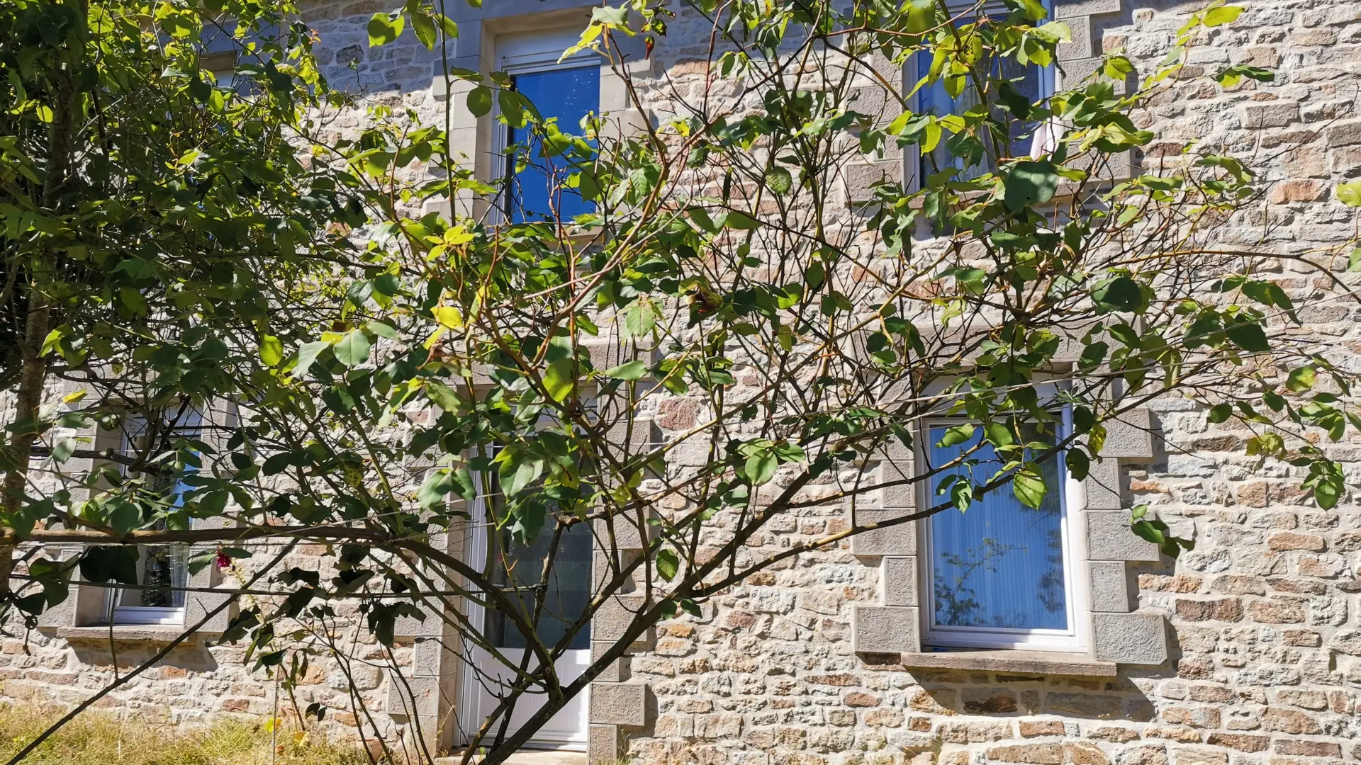 Chambres d'hôtes - Maison - Berhed's Home