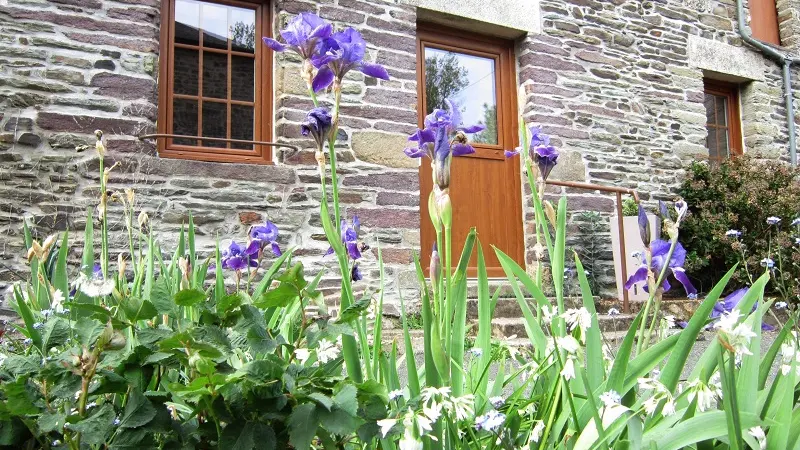 Gîte La Maison du Meunier