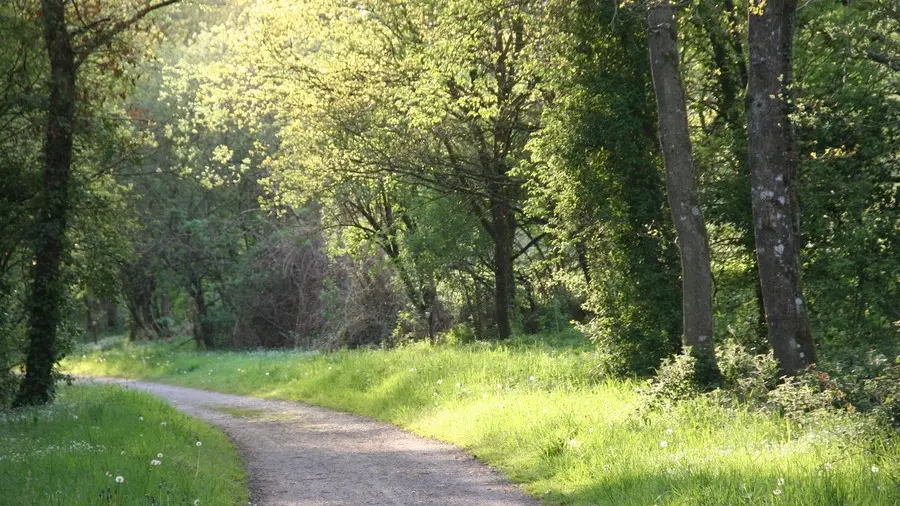 Voie verte Ploërmel-Guer-Messac
