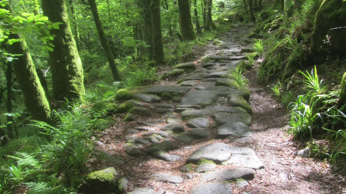 Chemin de la fontaine de Ste Barbe. Le Meudec