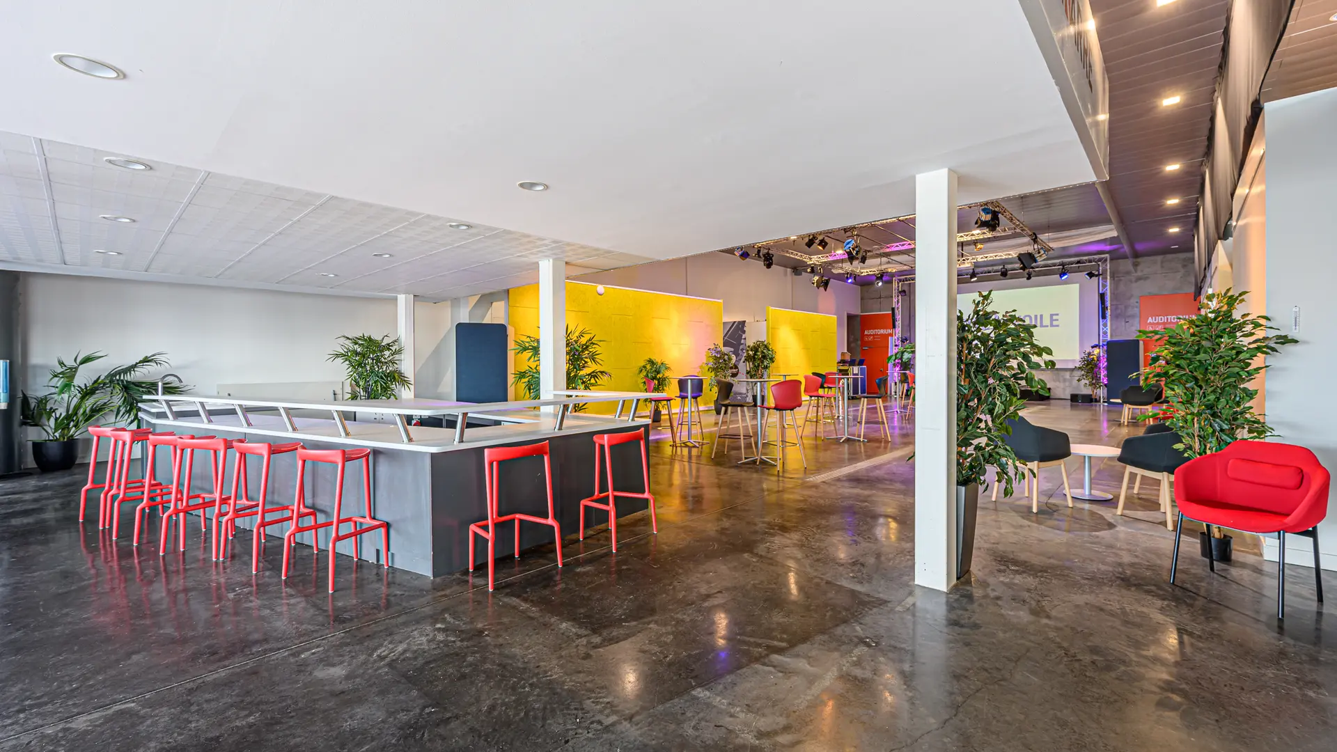 KARRE-AFFAIRES_15052024_1©ABCSALLES