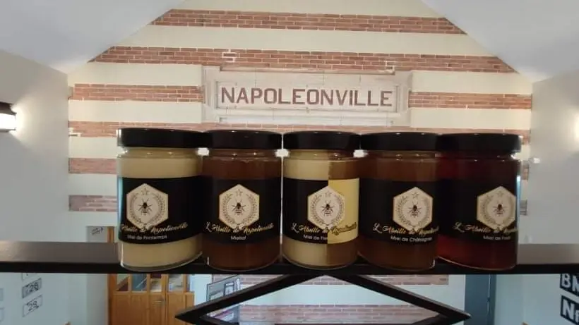 L'abeille de Napoléonville (14)