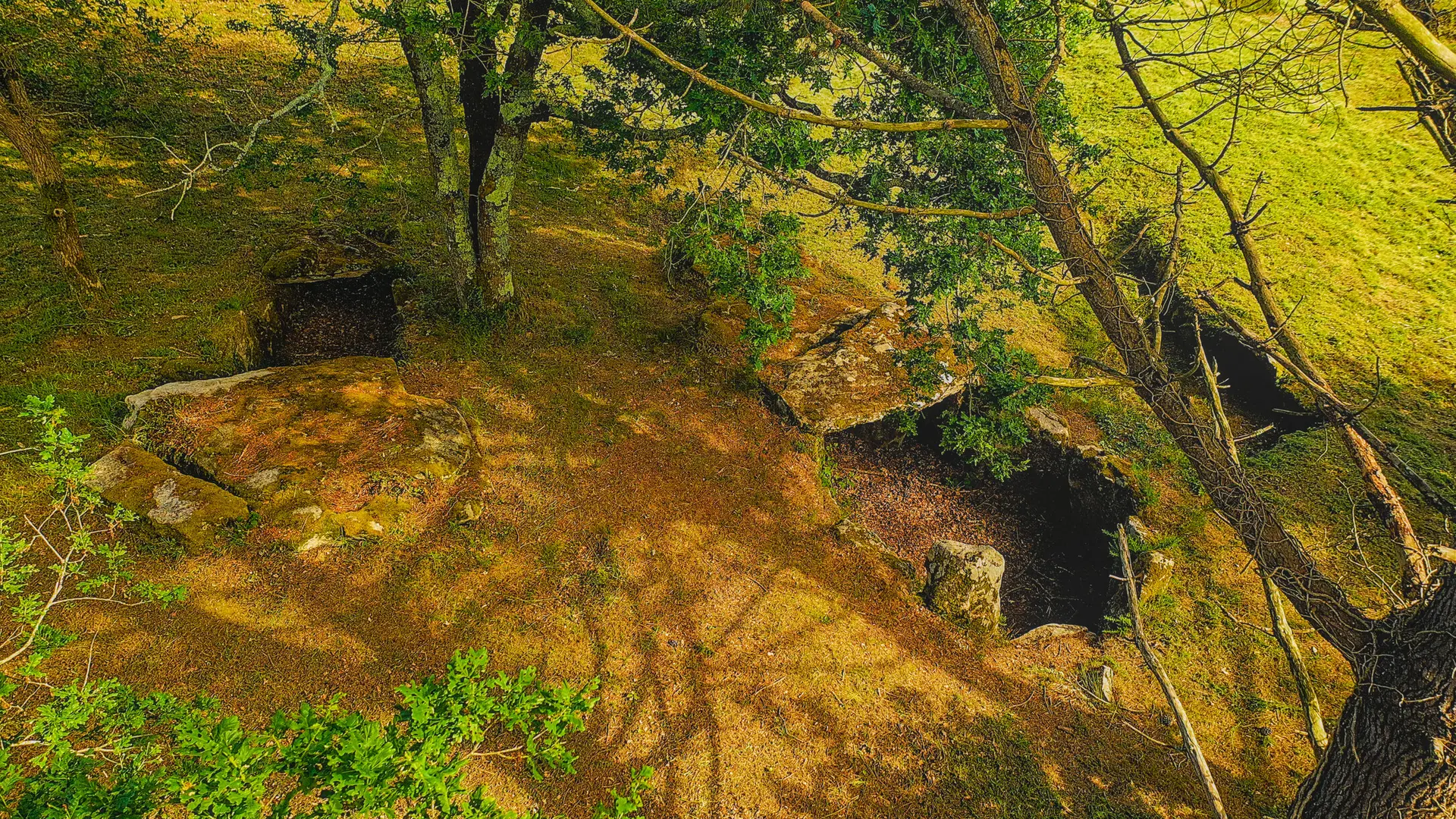 LA TRINITE SUR MER -Kervilor - Mané Bras (10).jpg_compressed