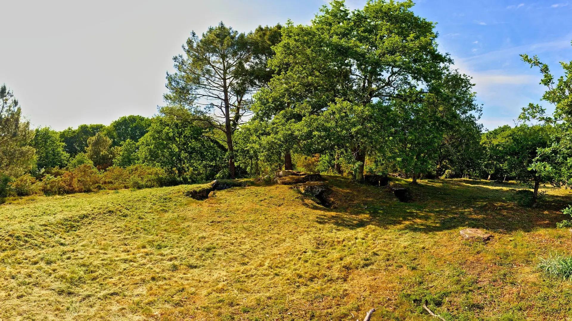 LA TRINITE SUR MER -Kervilor - Mané Bras (16) panorama_bd.jpg_compressed