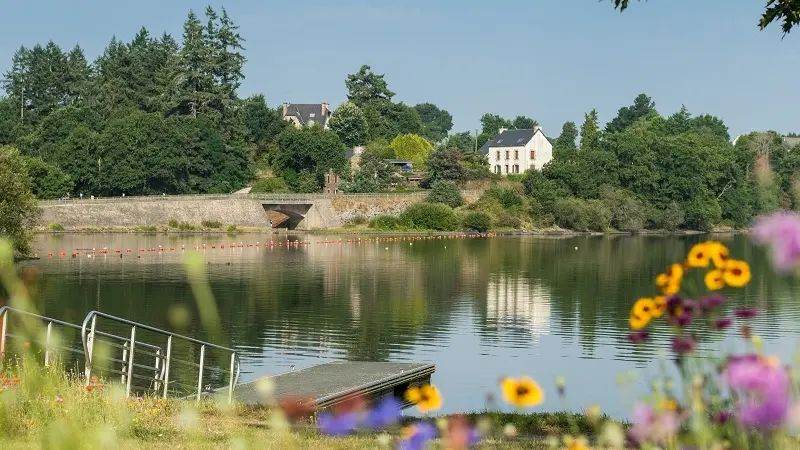 Lac au Duc - fleurs - été - Ploërmel - Brocéliande - Bretagne