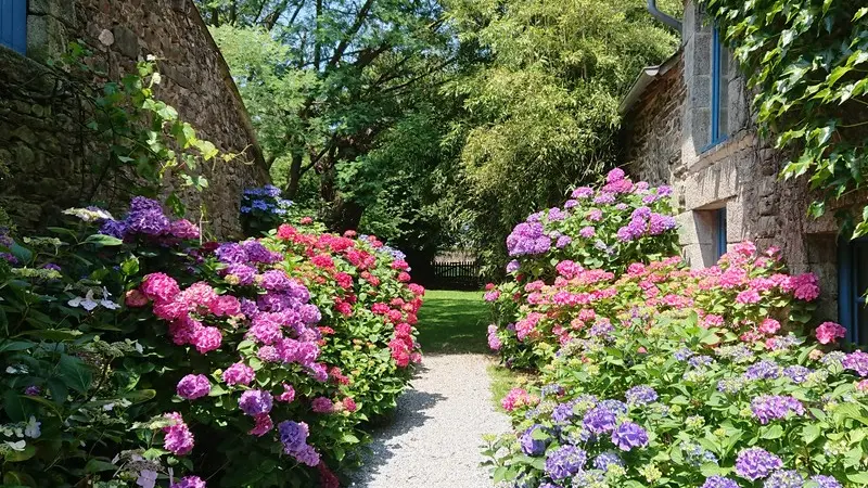 Studio - Les Floralis - La Grée St Laurent - Brocéliande - Bretagne