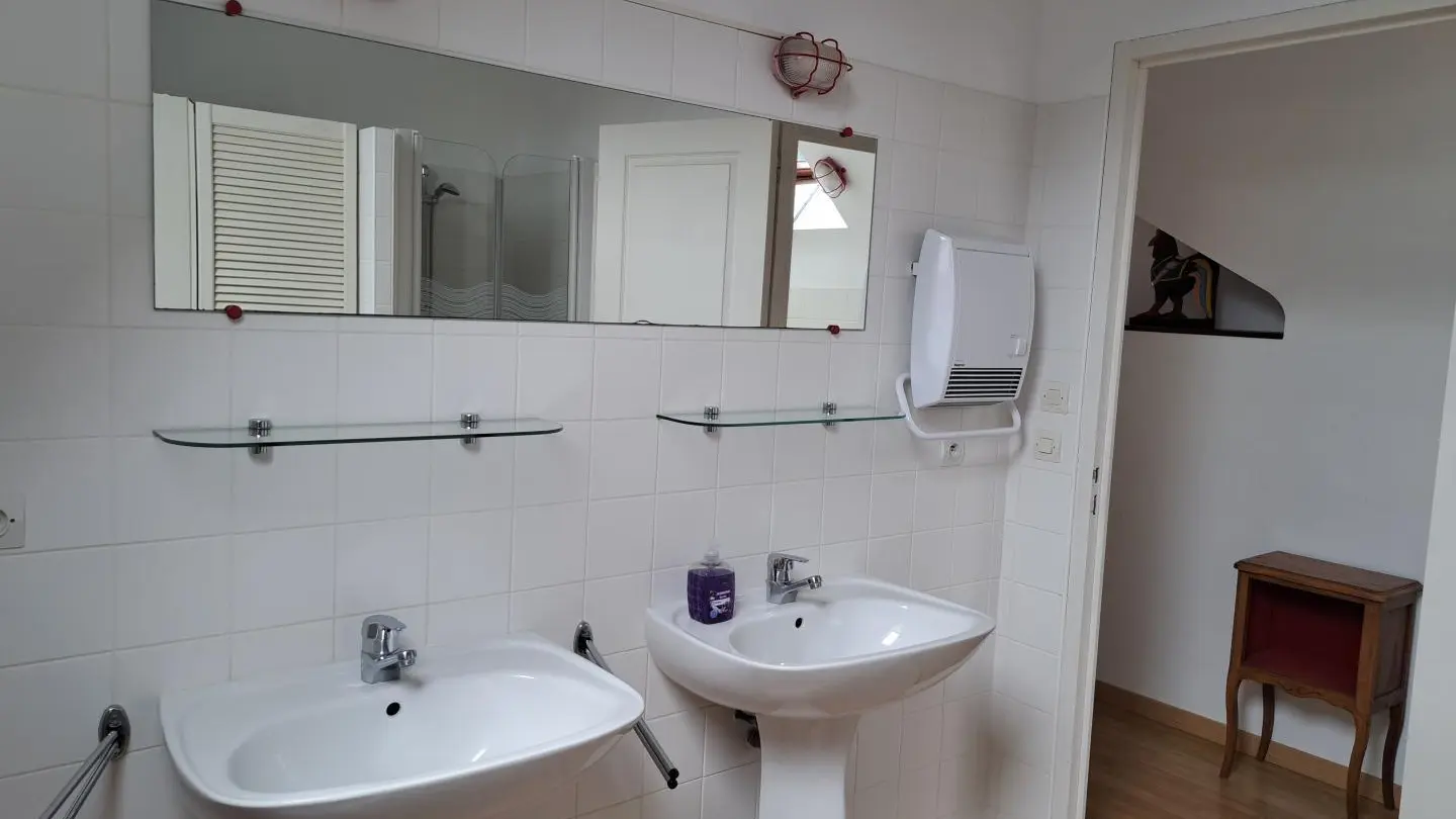 Location vacances_Gîtes du Rhun_Paeonia_salle d'eau_Pluméliau-Bieuzy©Gîtes de France 56