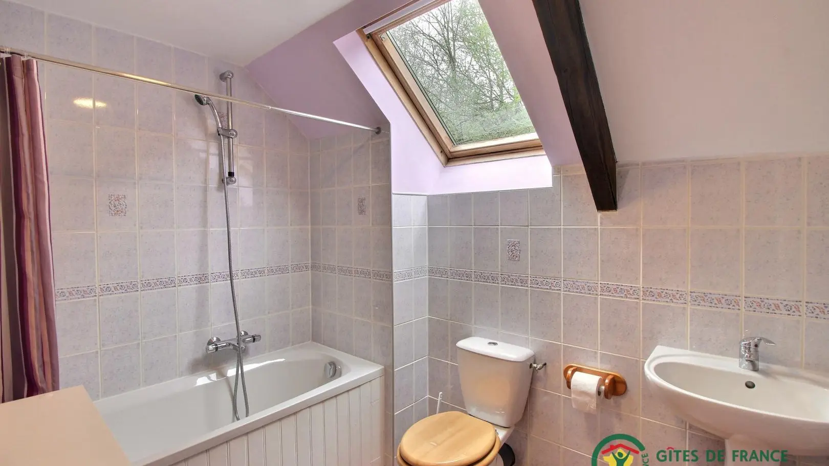 Location vacances_gîtes de Kerabellec_Alouette_salle de bain_Baud_Vallée du Blavet©Gîtes de France