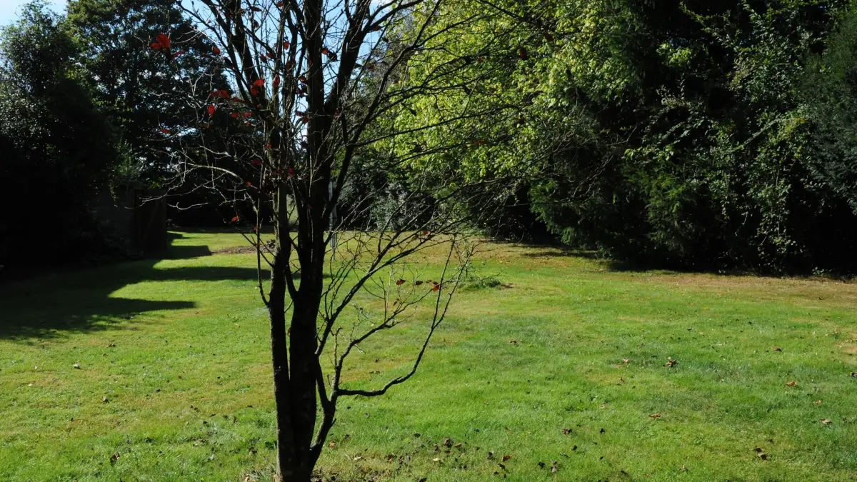 Location_Gîtes de Kerlann_Ty Kaouenn_jardin_La Chapelle-Neuve©Gîtes de France 56