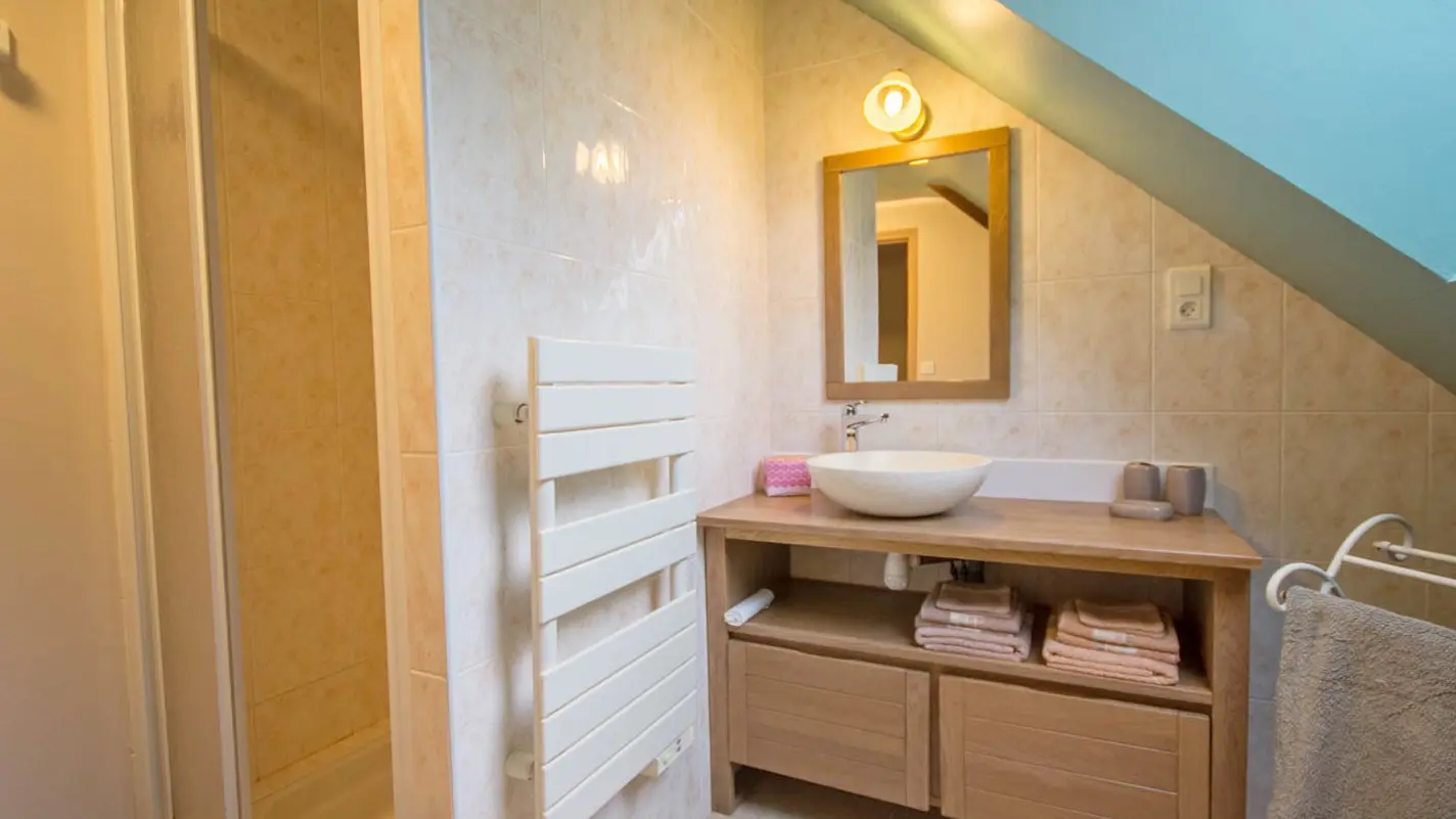 Location_Moulin de Kergouet_salle d'eau2_Pluméliau-Bieuzy_©Gîtes de France 56