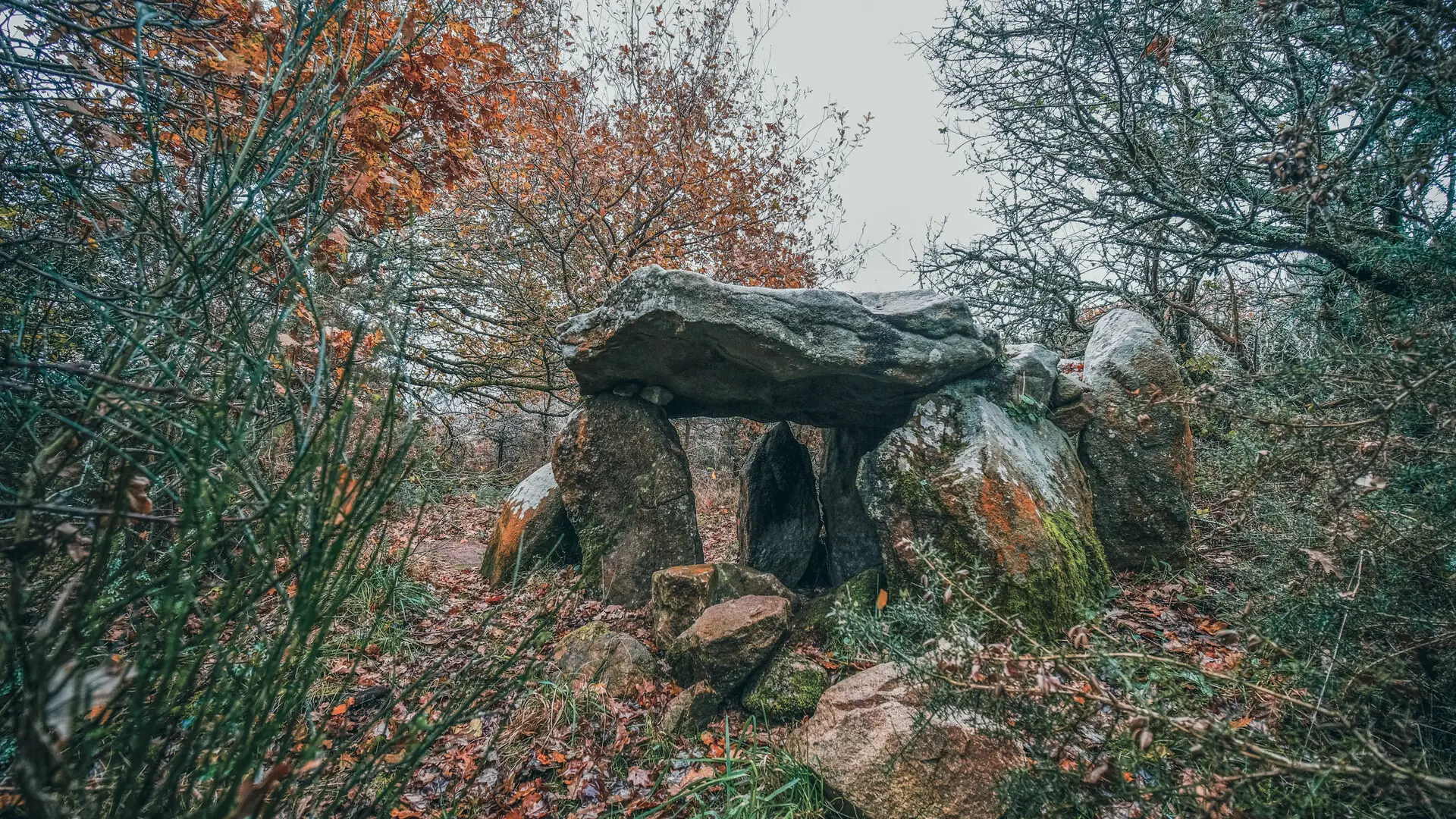 Locmariaquer - Zulaan - 025.jpg_compressed