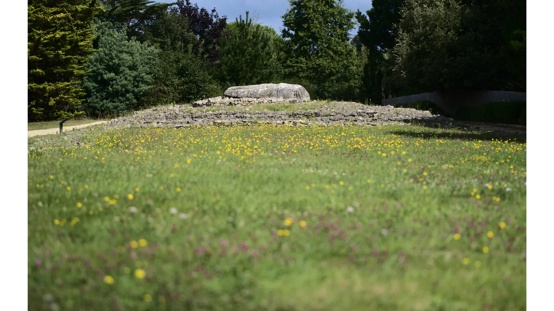 Locmariaquer - Zulaan - 052.jpg_compressed