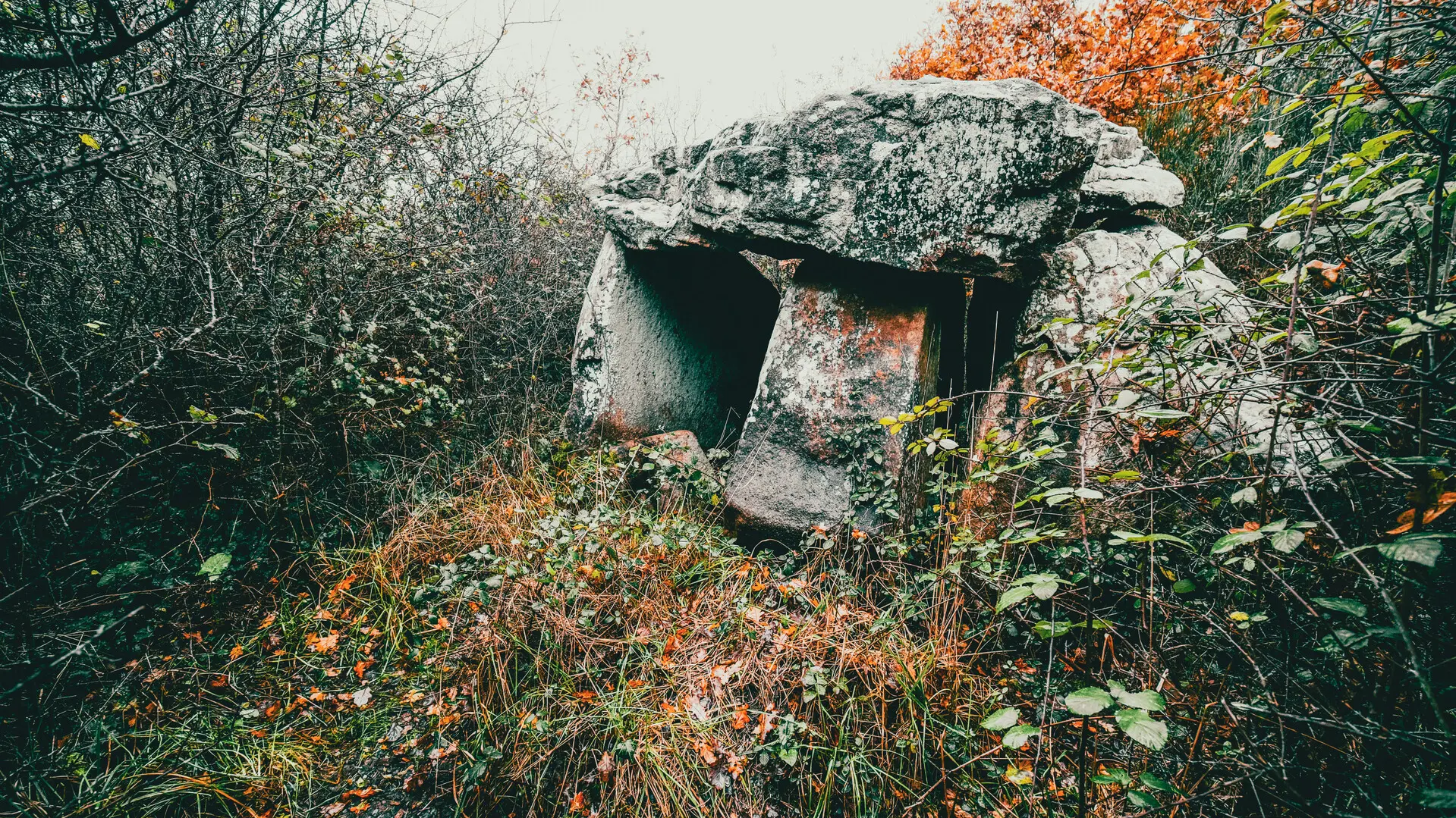 Locmariaquer - Zulaan - 069.jpg_compressed