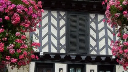 Maisons en torchis et à pans de bois à Locminé