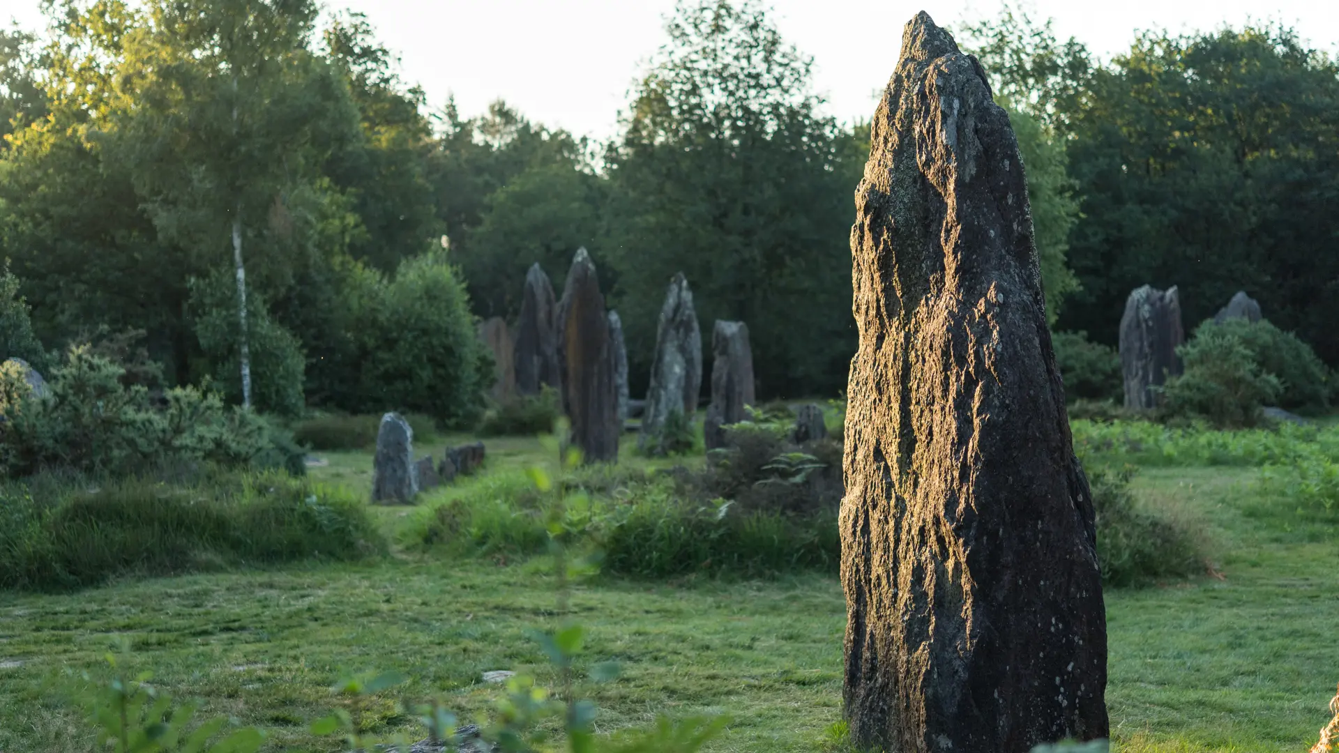 Menhirs de Monteneuf