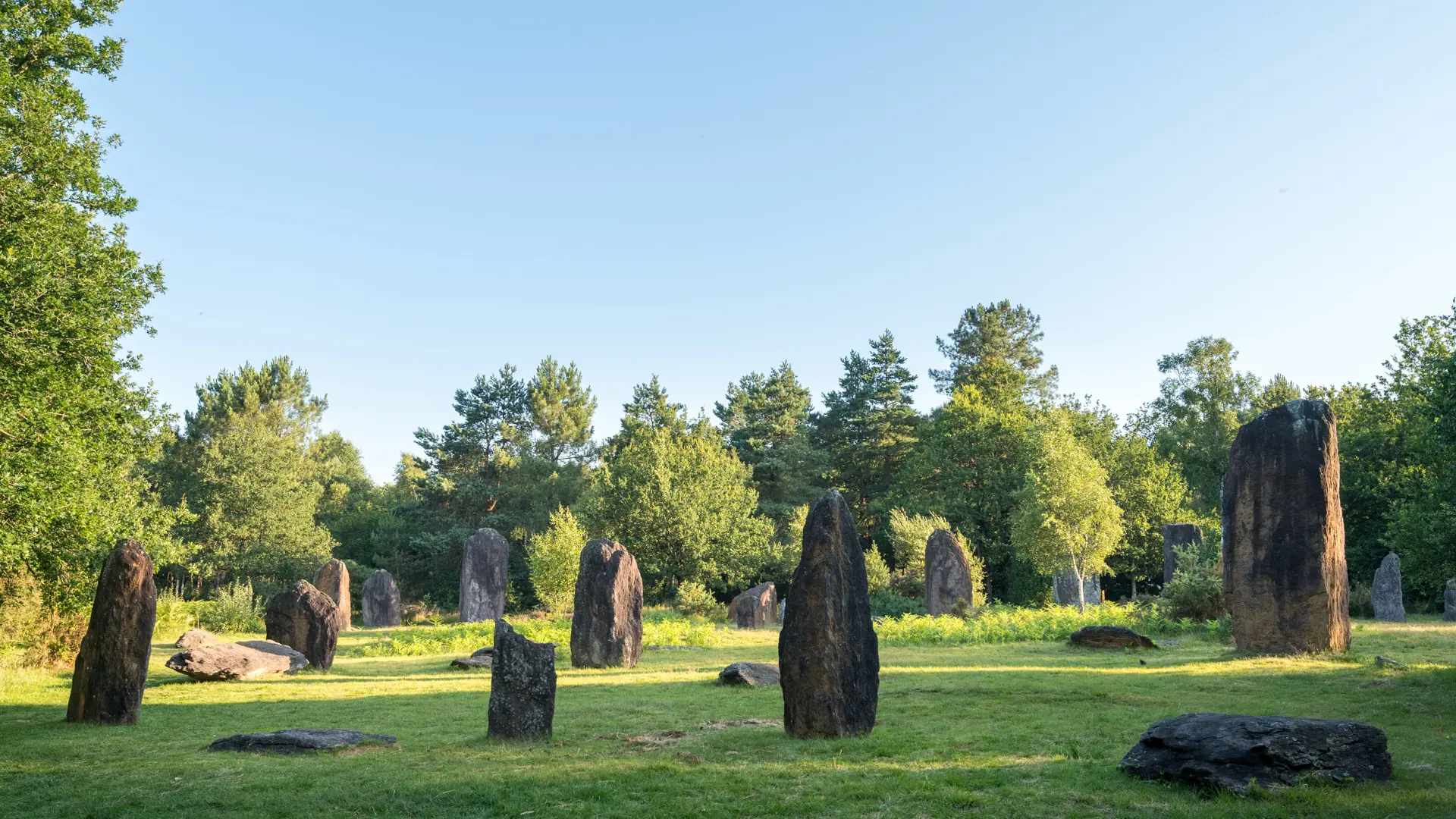 Menhirs de Monteneuf