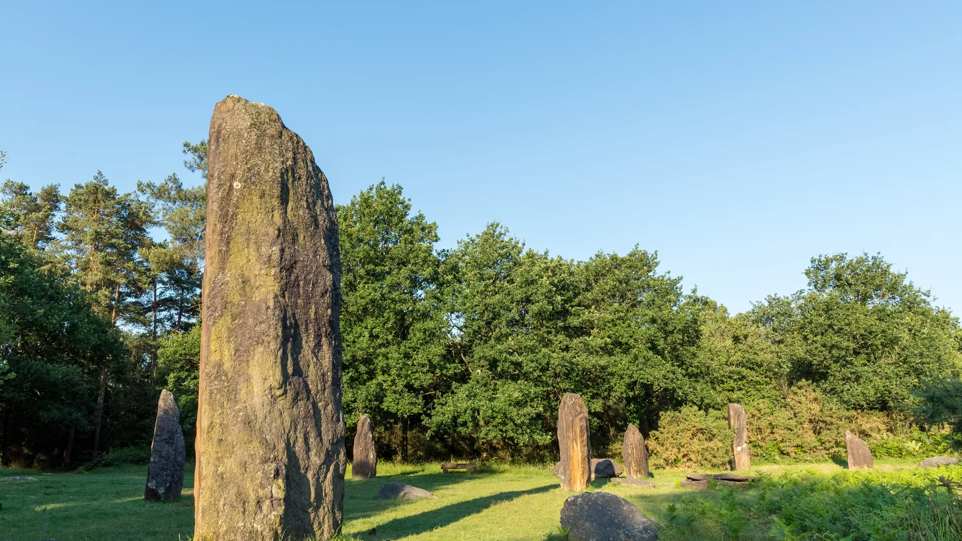 Menhirs de Monteneuf