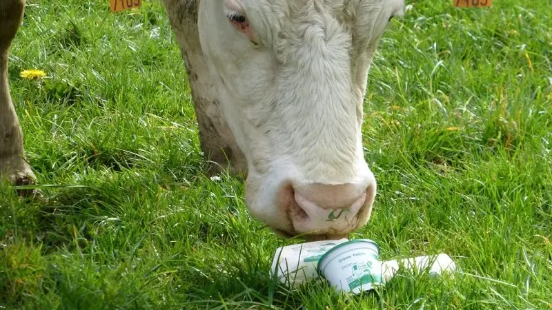 la_creme_rit_vente_ferme_Guilliers_Morbihan