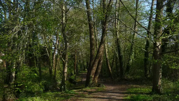 P1020413-OT-La-Gacilly