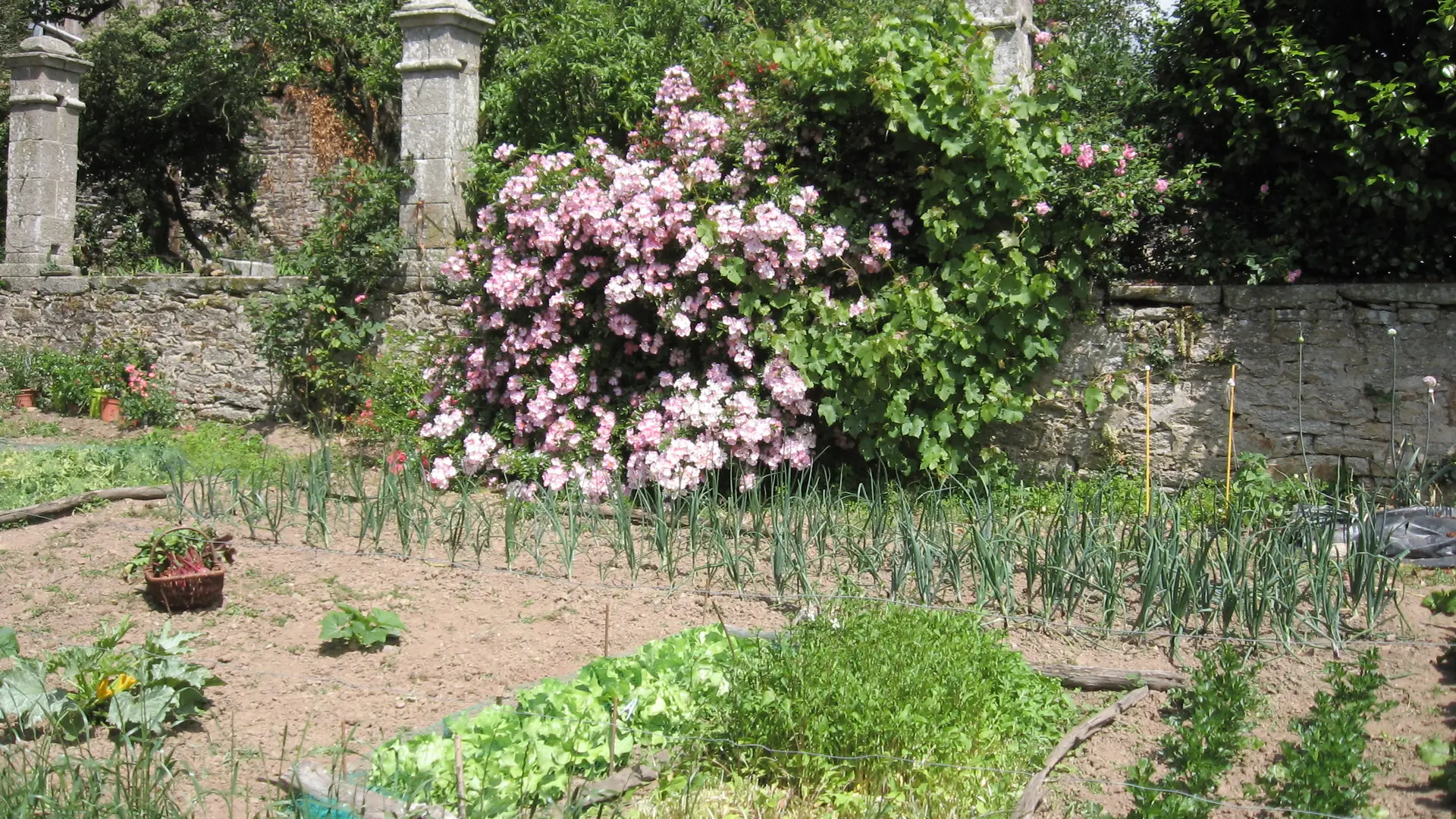 Le Manoir Logis de Penkêr_Pontivy