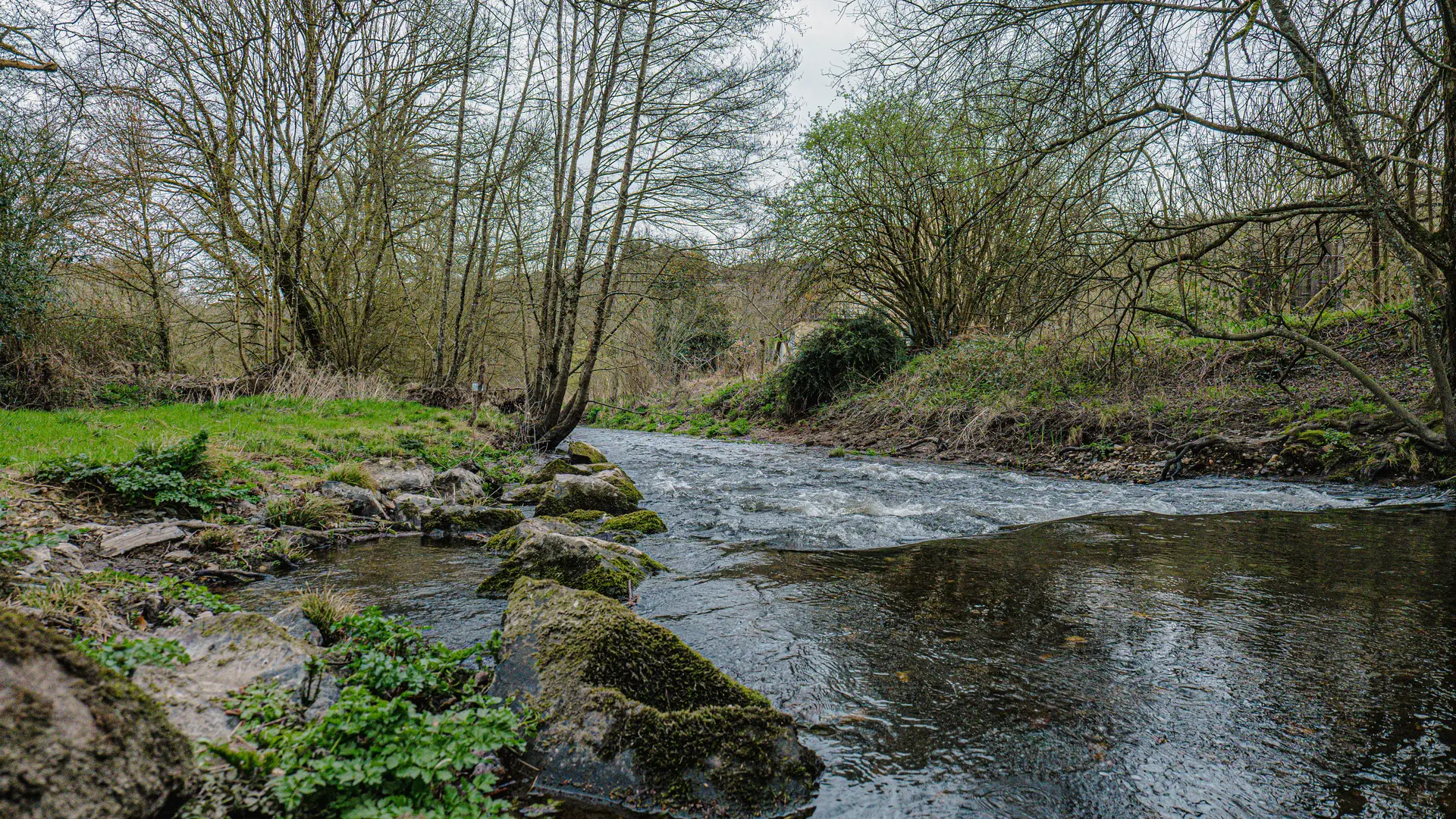 PEILLAC - PEILLAC - Moulin de Guéveneux_Peillac_Bauthamy Madoline  (2)