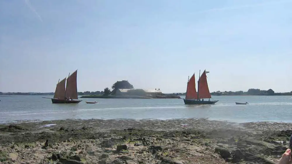 Photo-3-®-OT-VANNES-Sene-passagemontsarracgaelle